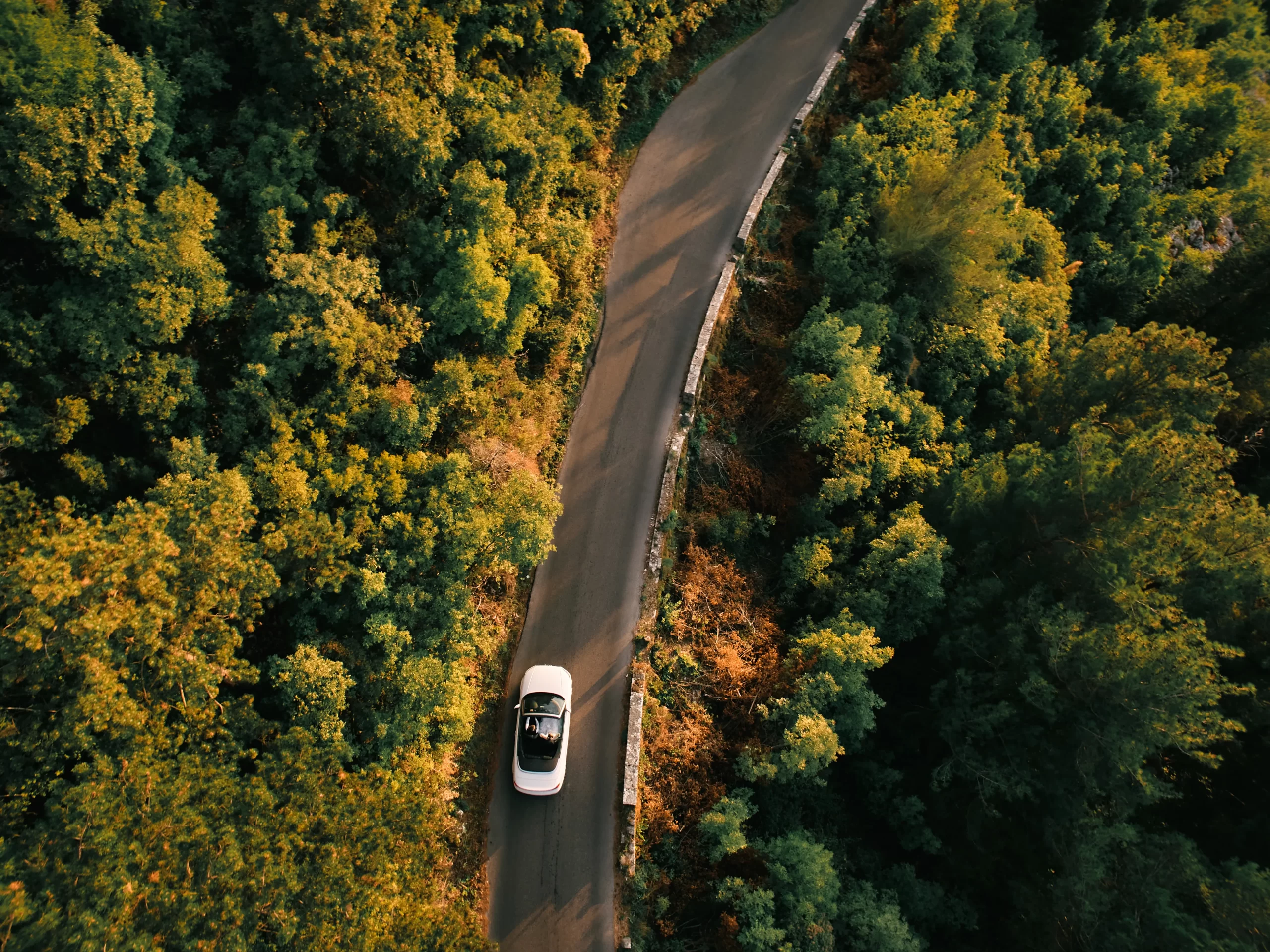 Vista aérea de un carro blanco circulando por una carretera sinuosa rodeada de densa vegetación verde, disfrutando de las velocidades de un carro estándar.